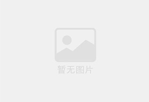 高压泵WS82
